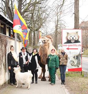 Die tibetische Flagge weht wieder am Naturschutz-Tierpark Görlitz-Zgorzelec