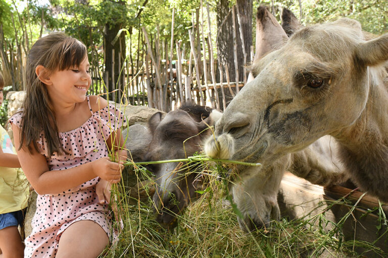 Zoos ermöglichen mehr als 1000 wissenschaftliche Studien