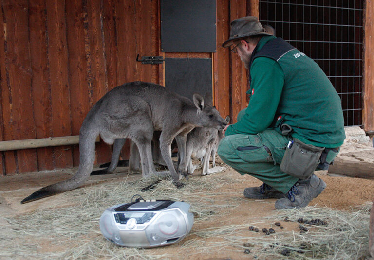 Patenschaft statt Böllernacht<br>Tierpark bittet zum Jahreswechsel um Rücksicht auf Haus- und Wildtiere