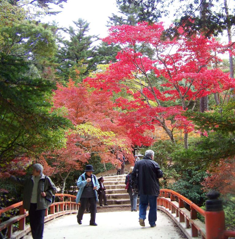 „Japanische Gartenkunst und Naturphilosophie“ – Vortrag im Museum Bautzen