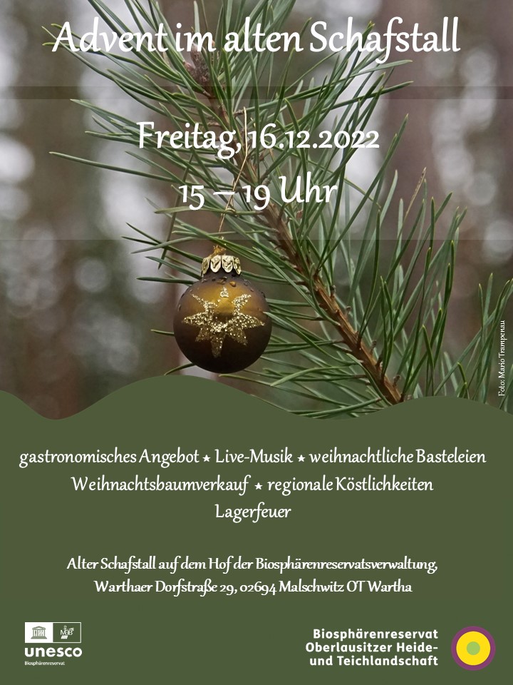 Advent im Biosphärenreservat – Wald, Wild und Musik im alten Schaftstall