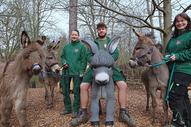 Jippy I-AH – der neue Eselspielplatz ist da!