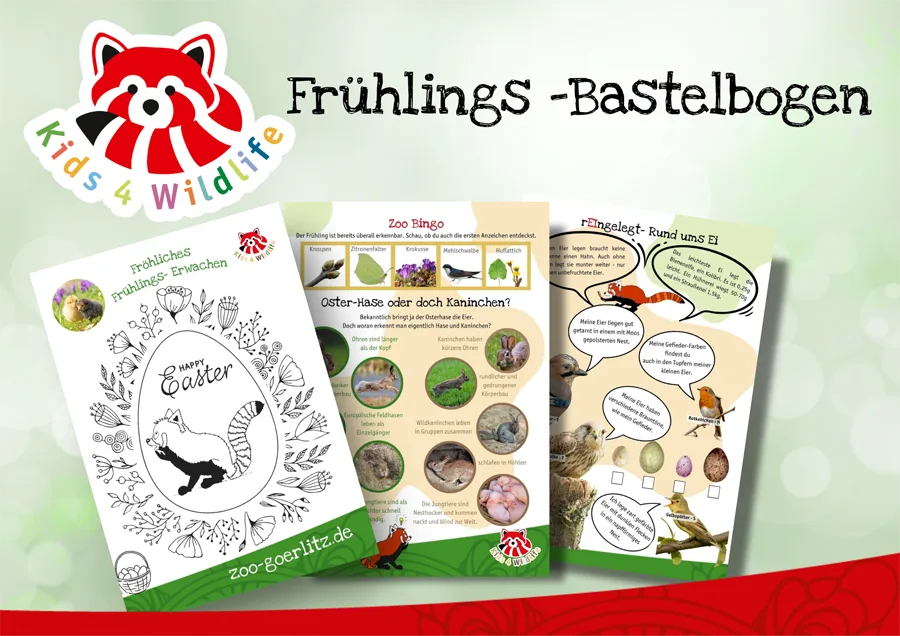4 12 2025 Fruehlings Bastelbogen WEB.png