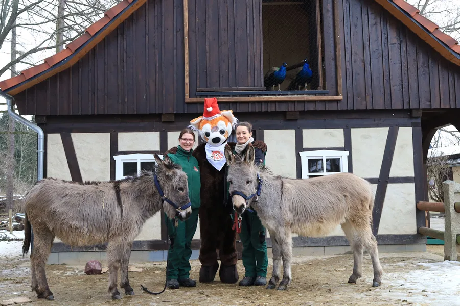 4 41 2025 Bescherung Zoo GR WEB.jpg