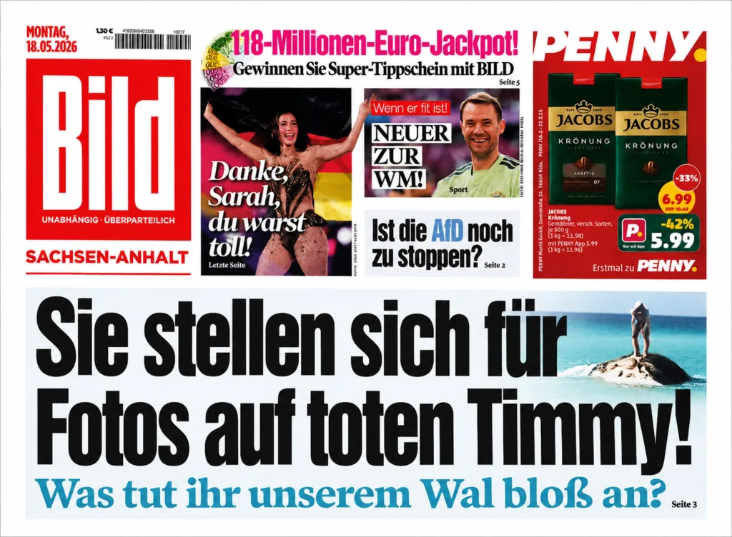 Bild Toter Wal Timmy.png